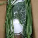 SAJANDAS Set of 2 Artificial Monstera Deliciosa Plants in Pots, Fake Tropical Palm Tree with Greenery Leaves Stems, 28 Inch Artificial Cheese Plant for Home Bathroom, Office, Windowsill Decor