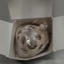 ChooKaChoo 2-in-1 Baby Teething Rattle Toy, Sensory Grasping Teether for Infants 3-12 Months, 100% Food-Grade Silicone, Easy to Hold, Soothing & Developmental, BPA Free (Beige w/Rattle)