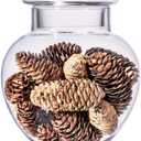 Large Glass Apothecary Jars with Lid, Clear Glass Candy Jar for Candy Buffet, Decorative Glass Jar for Party, Wedding and Home Decor, Elegant Glass Candy Canister (Height: 15", Diameter: 6.3")