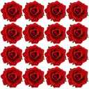 Cinaci 16 Pieces Flamenco Dancer Mexican Wine Red Rose Flower Alligator Hair Clips Barrettes Brooches Prom Party Wedding Bridal Hair Pins Accessories for Women Girls