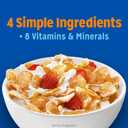 Kellogg's Frosted Flakes Breakfast Cereal, Fat Free, Giant Size, 28.5 oz (EXP 01/23/27)