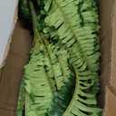 Artificial Boston Fern Bush- Set of 2 Large Artificial Ferns for Outdoors, 45Inch Large Faux Ferns, Suitable for Office & Living Room Decor, 55Branches for Each Bouquet