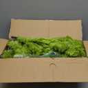 5ft Whimsical Christmas Tree with LED Lights - Artificial Christmas Tree with Timer & 8 Lighting Modes for Indoor Home Living Room Office Decor, Xmas Holiday Decorations (Grinch)