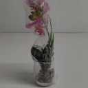 Jusdreen 1 Pcs Glass Vase Artificial Orchid Flower Bonsai Vivid Phalaenopsis Flowers Potting for Home Office Dcor, Table Centerpiece Room Decorations 14.5"(Glass Vase/Purple Orchid)