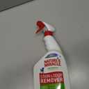 2 x Natures Miracle Stain and Odor Remover Dog, 32 Ounces, Everyday Mess Enzymatic Odor Control Formula