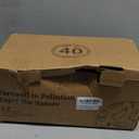 Homienly 40-Piece Premium Wheat Straw Dinnerware Sets, Service for 8, Unbreakable Plates and Bowls Set - Cups Sets, Dinner Plates, Bowls for Kitchen,Dishwasher and Microwave Safe Dishes Set - Multi