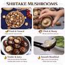 Kunknot Premium Dried Shiitake Mushrooms Whole Caps with Rich Umami Flavor for Soups, Stir-Fries, & Broths, No Additives, Resealable Packaging, Perfect for Shiitake Mushroom Recipes, Noodles, and Rice Dishes（4.23Oz/120g） (EXP 01/20/26)