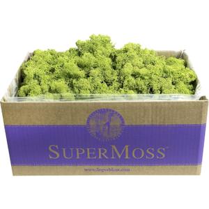 SuperMoss (21773) Reindeer Moss Preserved