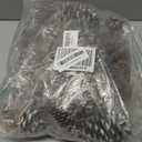 Fovths 66 Pieces Christmas Pine Cones Ornaments with String Natural Rustic Pine Cones Bulk Assorted Sizes Xmas Tree Hanging Pinecone Decoration for Christmas Tree Crafts DIY Gift Party