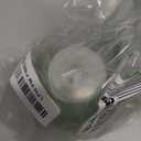 Davines MOMO Moisturizing Shampoo & Conditioner for Dry, Dehydrated Hair, Add Softness & Shine, Detangling Formula, 8.45 Fl Oz