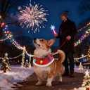 Dog Christmas Outfit Red Festive Holiday Pet Costume Clothes Accessory Light Up Bandana (X-Large)