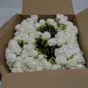 Jexine 240 Pcs Artificial Rose Flowers Bouquet Silk Realistic Flowers Bulk Centerpieces DIY Bride Fake Rose for Home Bridal Wedding Party Decorations(White)