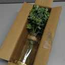 Zheart Fake Eucalyptus Stems in Glass Vase with Faux Water,14" Artificial Plants Eucalyptus Leaves for Shelf Desk Bathroom Farmhouse Room Coffee Table Home Decor (Sage Green)