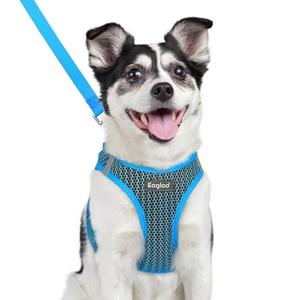 Eagloo Small Dog Harness and Leash Set, Step in Puppy Vest with Breathable Soft Mesh, Walking Reflective Pet Harness for Medium Small Dogs, Blue, L