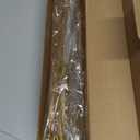 500 Pcs Natural Dry Flowers Mini Chamomile Small Star Daisy Dried Flowers Decorative White Daisy Bouquet for Wedding Vase Arrangements Decorations