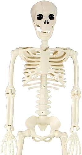 Eyglajdd 36in/3ft Halloween Skeleton Decorations,Plastic Full Body with Movable Joints Skeleton for Halloween Props Decor