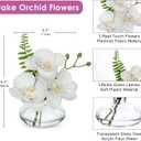 Oairse White Orchids Artificial Flowers Faux Orchids Arrangement in Clear Glass Vases Set of 3 Real Touch Phalaenopsis Orchid Flowers Small Fake Orchid Centerpiece for Dining Room Table
