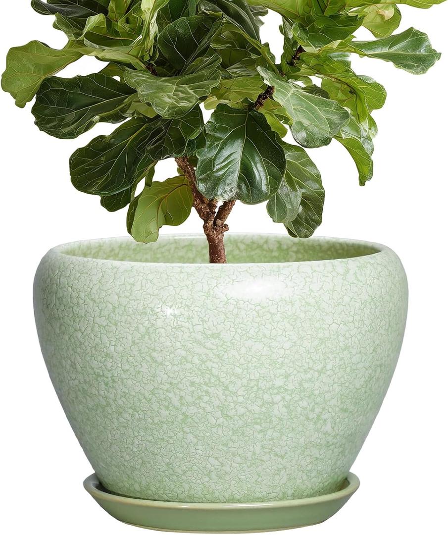 10 Inch Planter - Ceramic Plant Pots for Indoor Outdoor Plants, Indoor Pots for Plants with Drainage Hole and Saucer, Round Planter, Room Decor, Gifts for Plant Lovers, Crackle Light Green