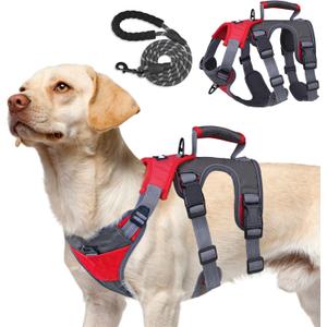 PUPTECK Escape Proof Dog Harness and Leash Set Upgraded No Pull Reflective Dog Vest with Lift Handle, Easy Control Pet Harness for Medium Large Dogs Training Walking Running (Red/Grey)