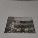 uniro Vintage Wall Art Decor Prints Farmhouse Wall Decor Vintage French Country Canvas Wall Art Prints Nature Landscape Flower Botanical Painting Poster Rustic Cottagecore Decor Retro Aesthetic (Retro 03-10pcs)