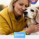 Dog Memorial Gifts for Loss of Dog Set, Hand-Painted Resin Angel Statue, Sympathy Gift for Pet Loss to Comfort a Pet Mom or Friend