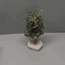 MASGEMES Green Aventurine with Crystal Quartz Base,Gemstone Crystal Tree of Life,Feng Shui Decor Bonsai Money Tree,Healing Crystals Positive Energy-Good Luck Spiritual Gift, 10''-11''