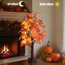 Fall Tree with Lights - 24 LED Lights, Falls Decor 24 Inch Battery or USB Powered Autumn Maple Tree Decor - 48 Maple Leaves for Indoor and Outdoor Fall Decoration Party Gifts