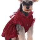 Kuoser Dog Dress, Cute Dog Dresses for Medium Large Dogs Girl Elegant Puppy Tutu with Bow-Knot, Doggie Princess Costume Pet Outfit for Birthday Party Christmas Halloween Wedding, Red L (Large (Chest Girth: 21.2"))