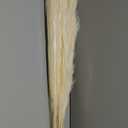 10pcs 40'' White Pampas Grass Tall Decor - Pompas Floral, Tall Pampas Grass for Floor Vases, Living Room Floor, Floor Plants, Plumas para, and Grass Wall Decor