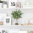 Briful 14.2" Artificial Eucalyptus Stem in Glass Vase with Faux Water  Small Fake Plant with Decorative Stones  Eucalyptus Leaves Artificial White Seeds Decor for Indoor Tabletop Shelf Office