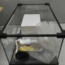 10 Gallon Reptile Terrarium Glass Starter Habitat 20" x 12" x 10" for Gecko Snake