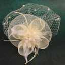 Cizoe Fascinator Hats for Women Tea Party Headband Kentucky Derby Wedding Flower Mesh Veil Fascinator (White)