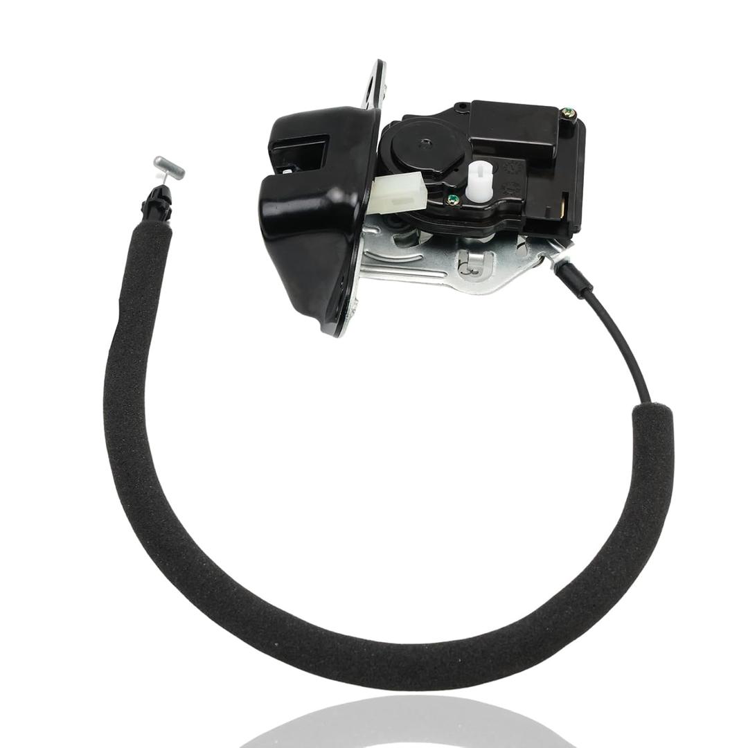 Rear Tailgate Latch Assembly with Lock Actuator for Dodge 2008-2020 Grand Caravan, 2009-2020 Journey, 2008-2016 Town & Country, Ram C/V, Replaces# 4589243AA 4589243AG