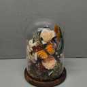 HUACHIPLUS Eternal Flowers with Butterfly: Forever Flower Arrangement-Elegant Preserved Flowers in Glass Dome-Romantic Valentines, Anniversary, Mom Gifts for Her-Flowers for Delivery Prime (Orange)