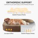 JOEJOY Orthopedic Dog Bed for Extra Large Dogs, Egg-Crate Memory Foam Pet Bed with Bolster Sides, Waterproof Lining, Removable Washable Cover & Non-Slip Bottom, Brown, Size: 48"l X 35"w X 7.5"th