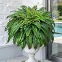 Yastouay 48 Inch Fake Ferns, Look Real 101 Leaves Artificial Boston Ferns for Outdoors Large, Lush UV Resistant Faux Ferns for Outdoor Planter Large, Outdoor Faux Plants for Porch Patio Home Decor (Green)