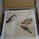 9x9 Picture Frame, Black Metal Square Photo Frames with HD Glass, Fits 8x8 with Mat or 9 x 9 without Mat, Display for Wall and Table, 1 Pack