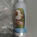 Healthy Breeds Brittany Bright Whitening Shampoo 12 oz