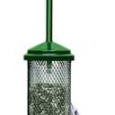Squirrel Buster Mini Squirrel-proof Bird Feeder w/4 Metal Perches, 1.3lbs Seed Capacity, garden green