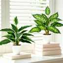 2 Pack Artificial Potted Plants, 16" Fake Plants Indoor in White Pots for Home Bathroom, Office Desk, Shelf - Realistic Faux Greenery Desk Plants for Living Room, Kitchen, Farmhouse Decor