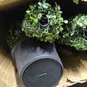 Boxwood Topiary Trees – Set of 2 – 3 feet High Artificial Boxwood