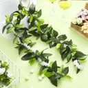 Thiccywoov 2 Pcs Hawaiian Luau Maile and Pikake Lei Graduation Lei Hawaiian Maile Lei Artificial for Wedding Graduation Party, 4.9 ft