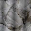 L LOVSOUL Goose Feather Down Fiber Comforter Queen Size, 100% Organic Cotton Fabric Duvet Insert,1200TC,750+FP, Hotel Collection, All Season White Bedding Comforters with 8 Tabs,72oz