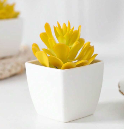 8Pcs Mini Artificial Succulent Plants Simulation in White Pots Small Fake Succulents Decoration for Bedroom Aesthetic Living Room Office Shelf