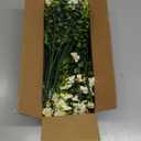 12 Pcs Artificial Flowers Outdoor UV Resistant Fake Flowers Greenery Shrubs Fake Plants for Vase Pots Hanging Planters No Fade Faux Plastic Flower Plant Garden Porch Window Box Home Decoration (White)