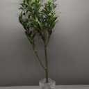 Artificial Olive Tree, 6ft Tall Faux Tree for Indoor with Realistic Olive Tree Branches and Lifelike Fruits, Fake Olive Tree for Modern Home Office Living Room Bathroom Decor Indoor