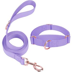 Soft Leather Martingale Dog Collar - Adjustable Rose Gold Limited Slip Collars [Easy to Clean], Stylish Durable Heavy Duty Nylon No Pull Training Collar for Dogs (XS, Set Purple)