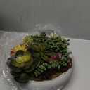 MyGift 8 Inch Round Modern Artificial Succulent Arrangement Potted in Gray Concrete Plant Bowl, Assorted Faux Mini Succulents in a Decorative Planter Pot (Grey)