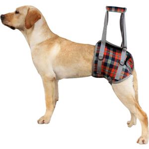 ROZKITCH Dog Lift Harness, Grid Pet Rear Support Aid Veterinarian Approved Sling for Old K9 Help With Poor Stability, Back Leg Hip Disabled Joint Injury Elderly Arthritis ACL Rehabilitation Rehab (Large, Hind Legs-Orange)