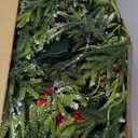 Bluesea 9FT Christmas Norfolk Pine Garland, Realistic Christmas Greenery Garland for Fireplace,Table, Stairs, Mantle, Window,Indoor Outdoor,Home,Holiday Decor, 1 Pc